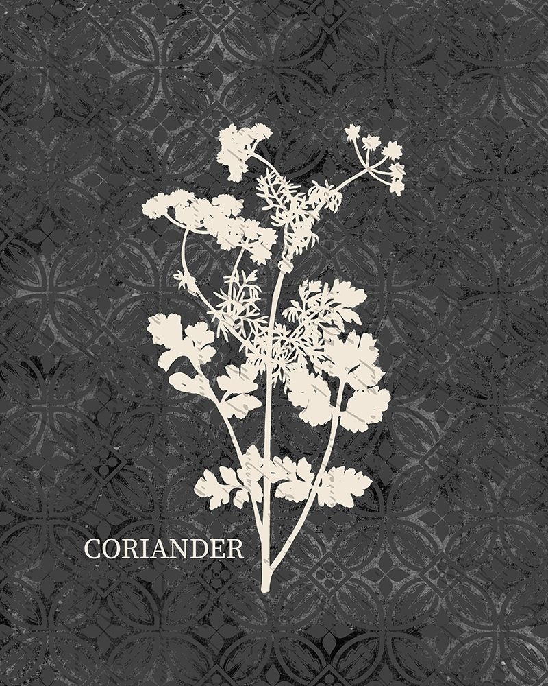 Fresh Coriander art print by Kimberly Allen for $57.95 CAD