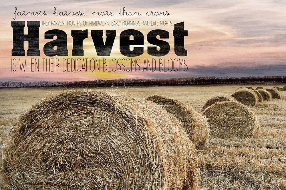 Farmers Harvest art print by Kimberly Allen for $57.95 CAD