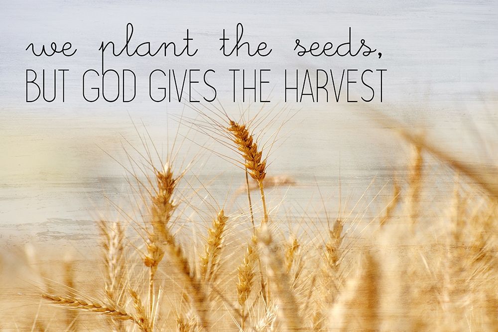 The Harvest art print by Kimberly Allen for $57.95 CAD