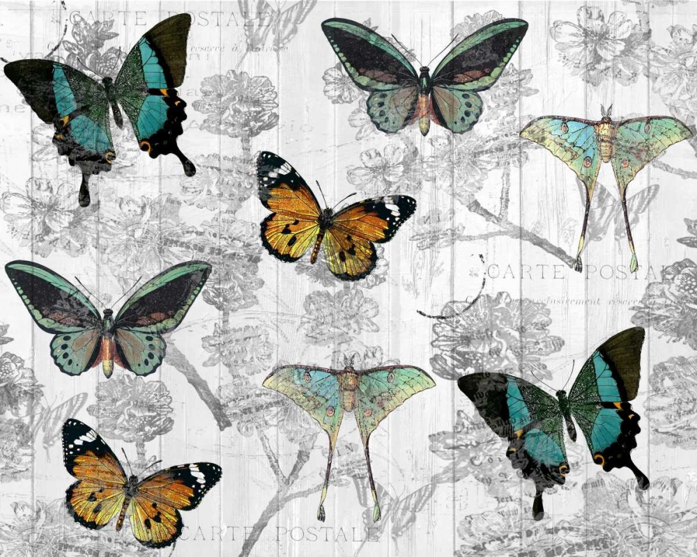 Butterfly Dreams art print by Kimberly Allen for $57.95 CAD