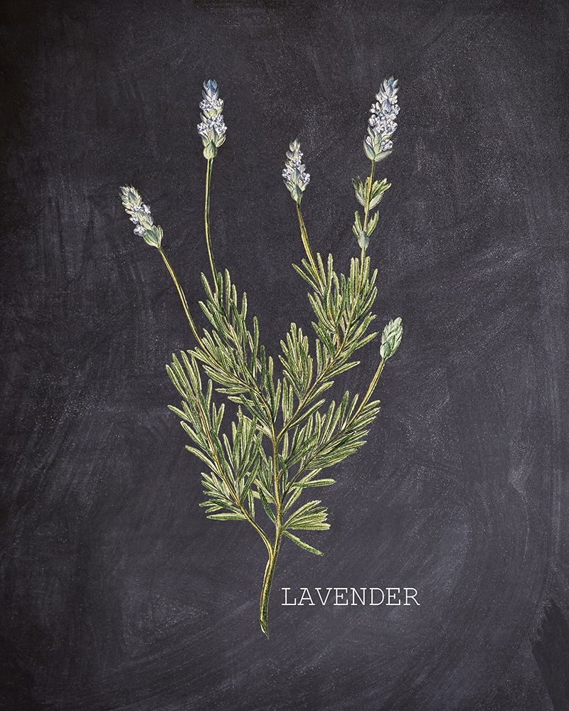 Blackboard Herbs 1 art print by Kimberly Allen for $57.95 CAD
