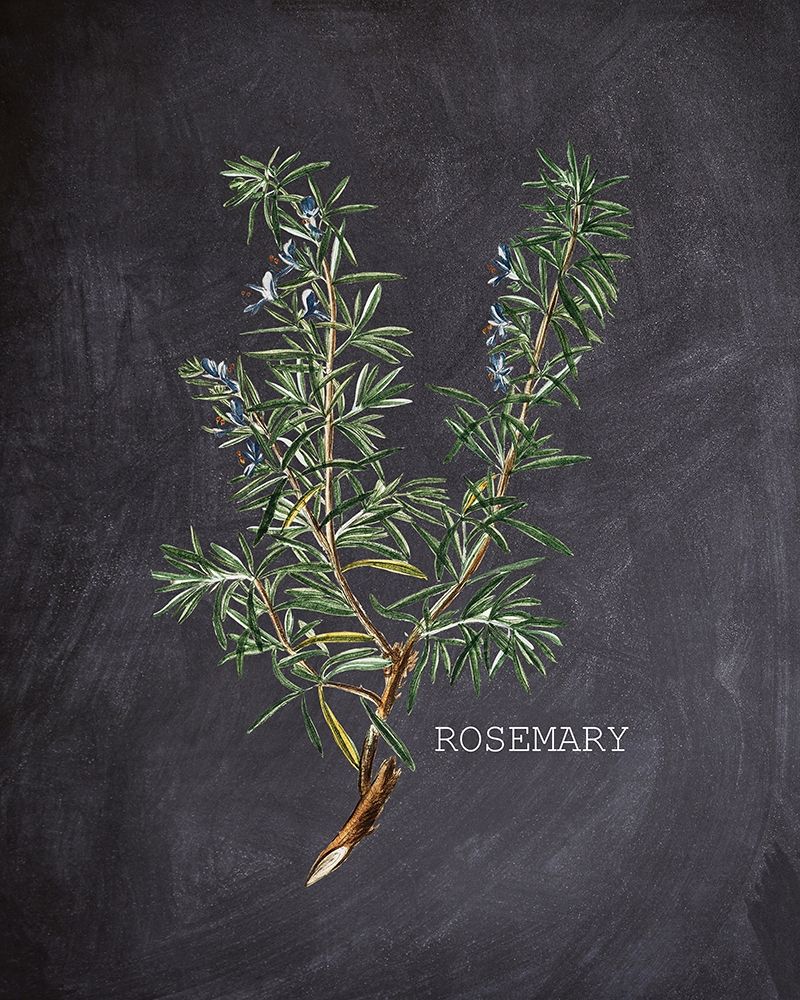 Blackboard Herbs 2 art print by Kimberly Allen for $57.95 CAD