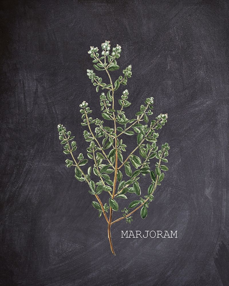 Blackboard Herbs 3 art print by Kimberly Allen for $57.95 CAD