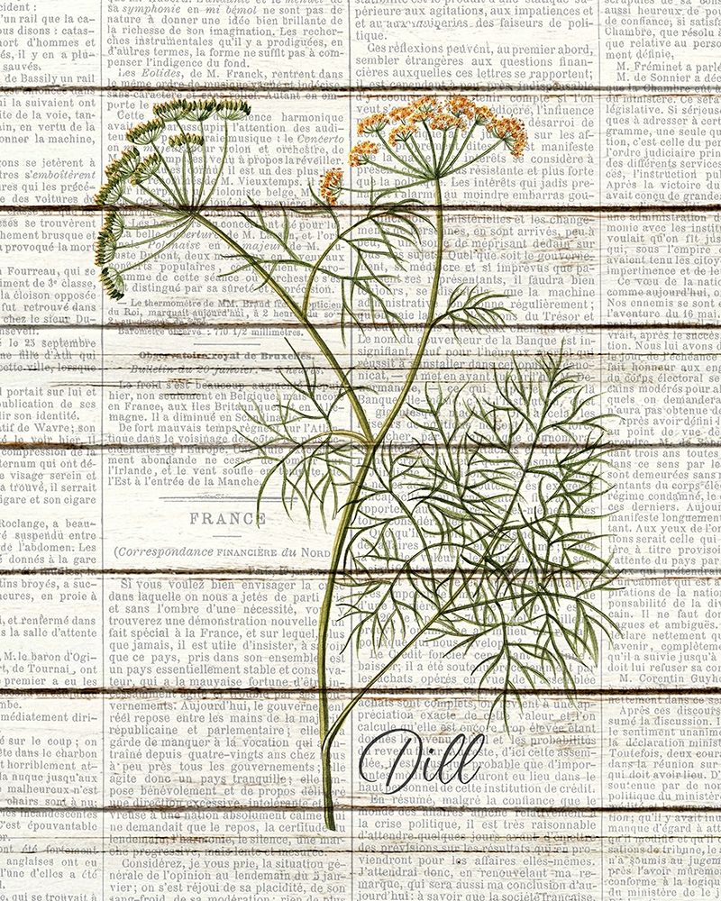 Dill art print by Kimberly Allen for $57.95 CAD
