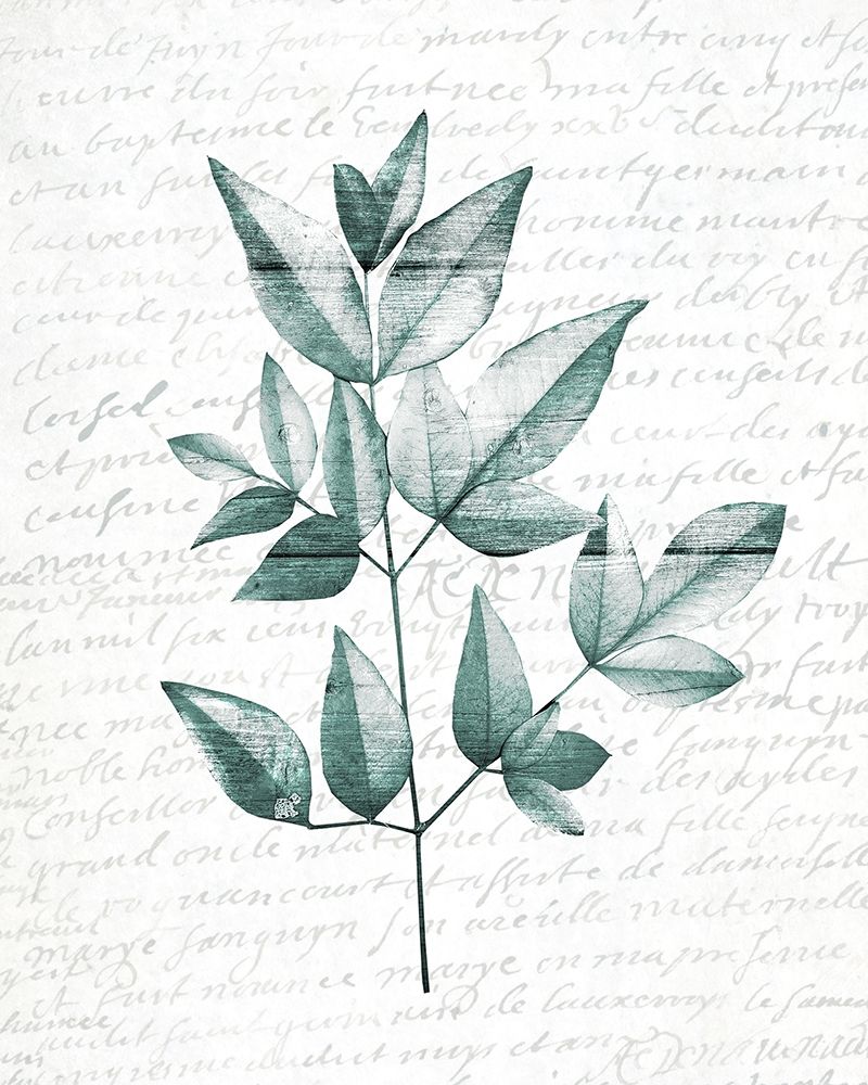 Pressed Leaves 1 art print by Kimberly Allen for $57.95 CAD