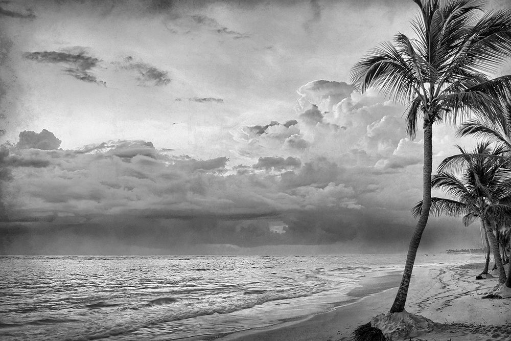 Beach Days art print by Kimberly Allen for $57.95 CAD