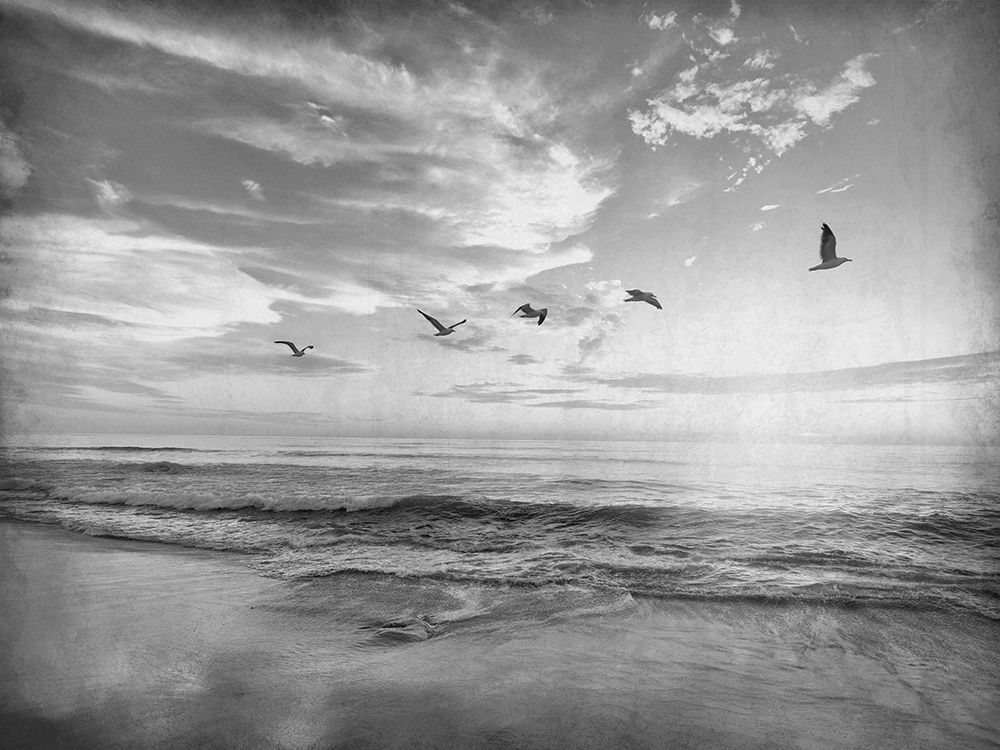 Soaring Above The Sea art print by Kimberly Allen for $57.95 CAD