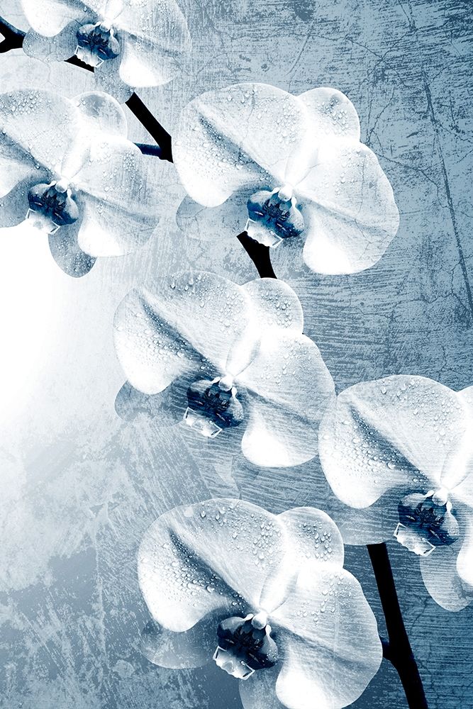 Climbing Orchids 2 art print by Kimberly Allen for $57.95 CAD