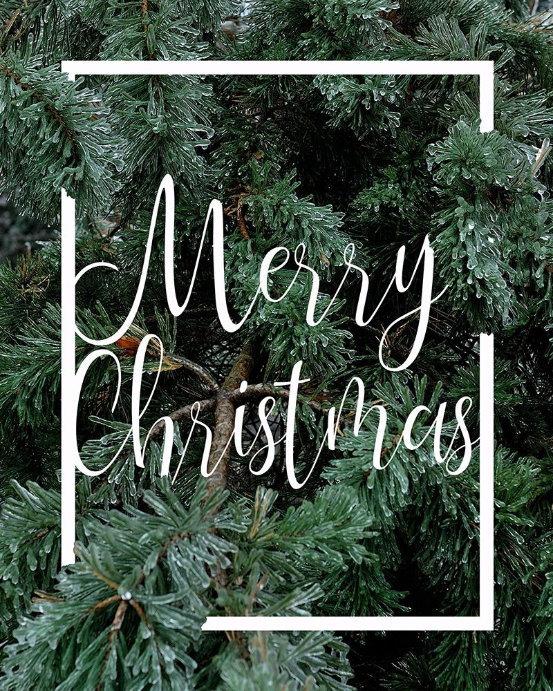 Merry Christmas Foliage art print by Kimberly Allen for $57.95 CAD