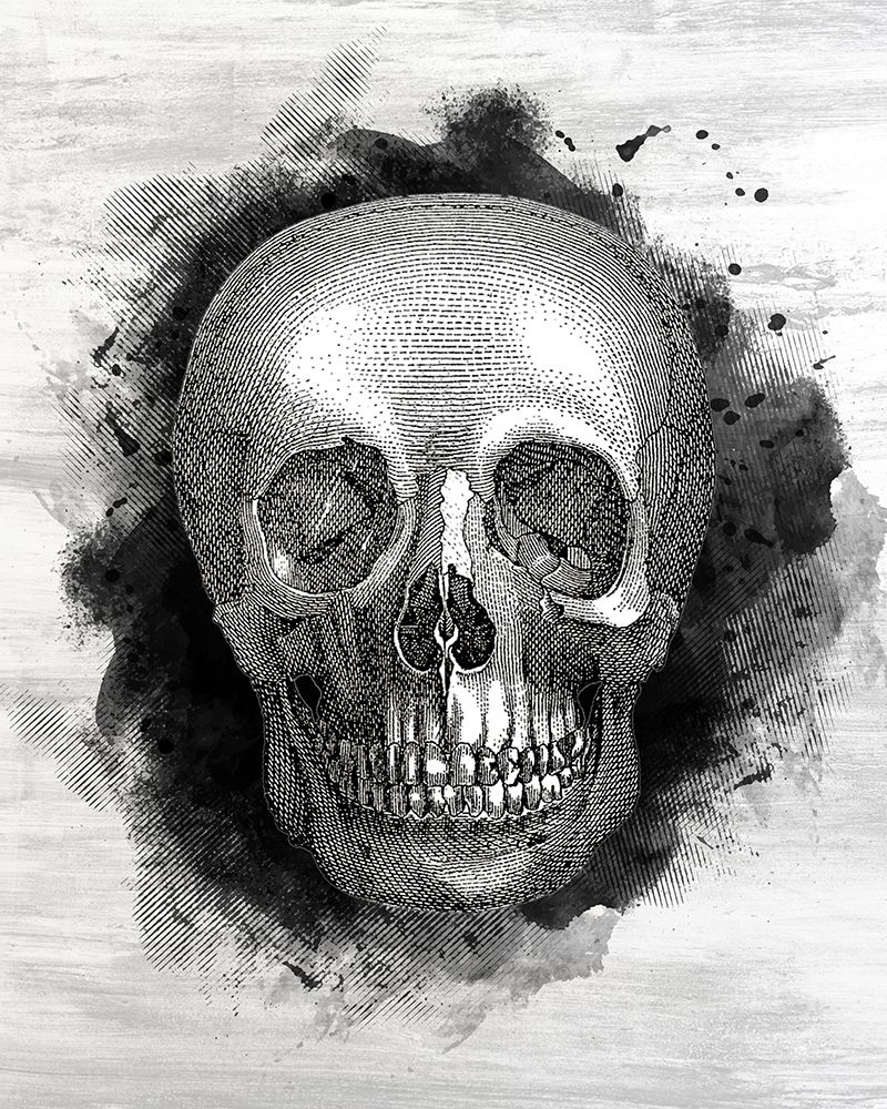 Skull art print by Kimberly Allen for $57.95 CAD