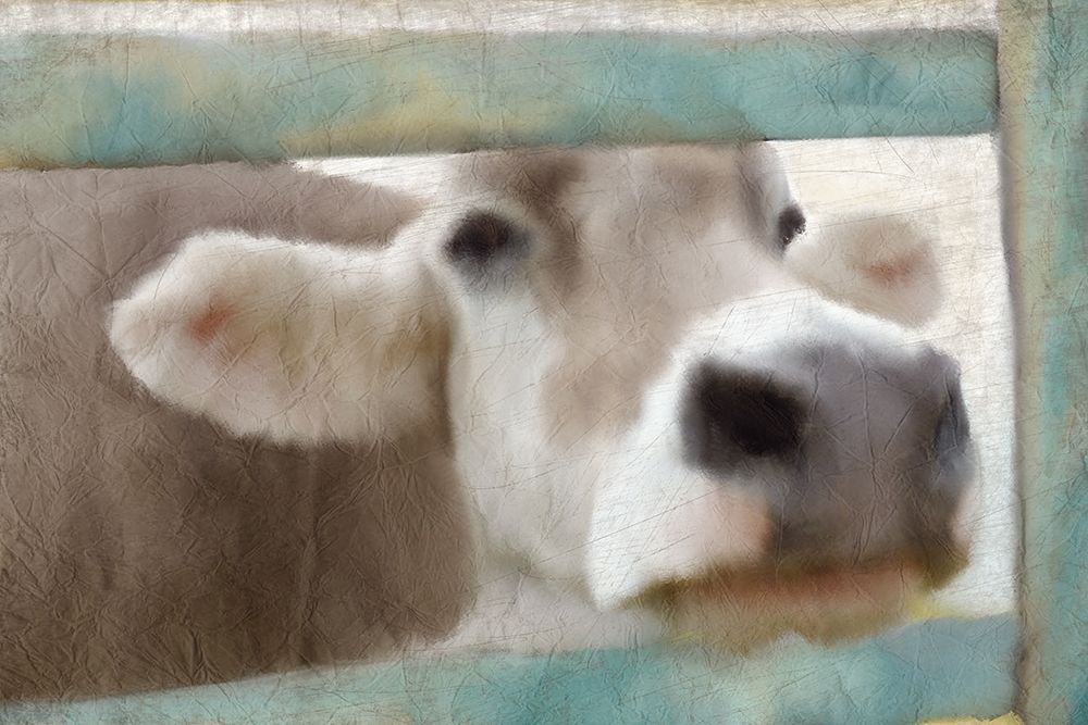 Out of the Fence art print by Kimberly Allen for $57.95 CAD