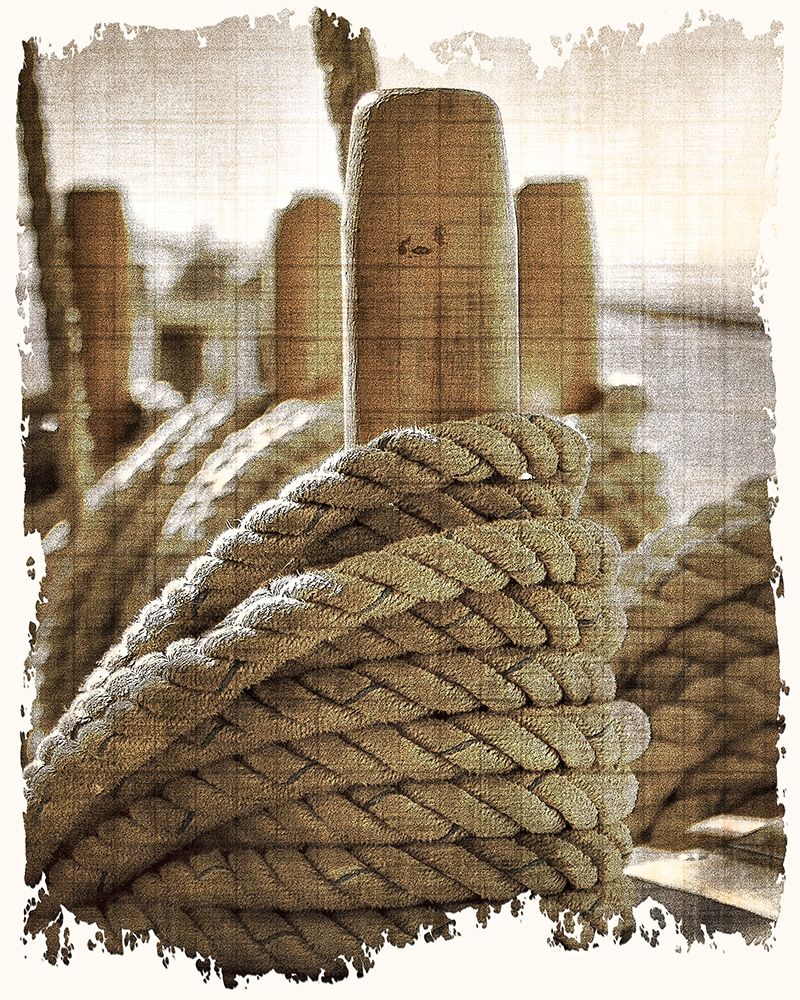 Learning the Ropes 1 art print by Kimberly Allen for $57.95 CAD