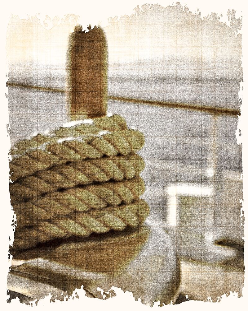Learning the Ropes 2 art print by Kimberly Allen for $57.95 CAD