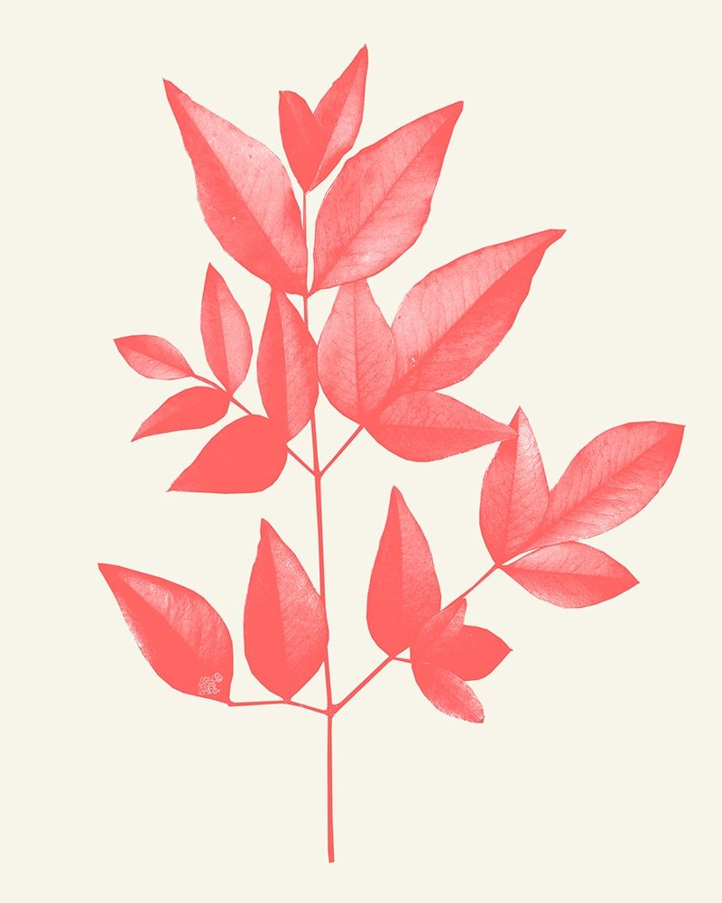 Coral Leaves 2 art print by Kimberly Allen for $57.95 CAD