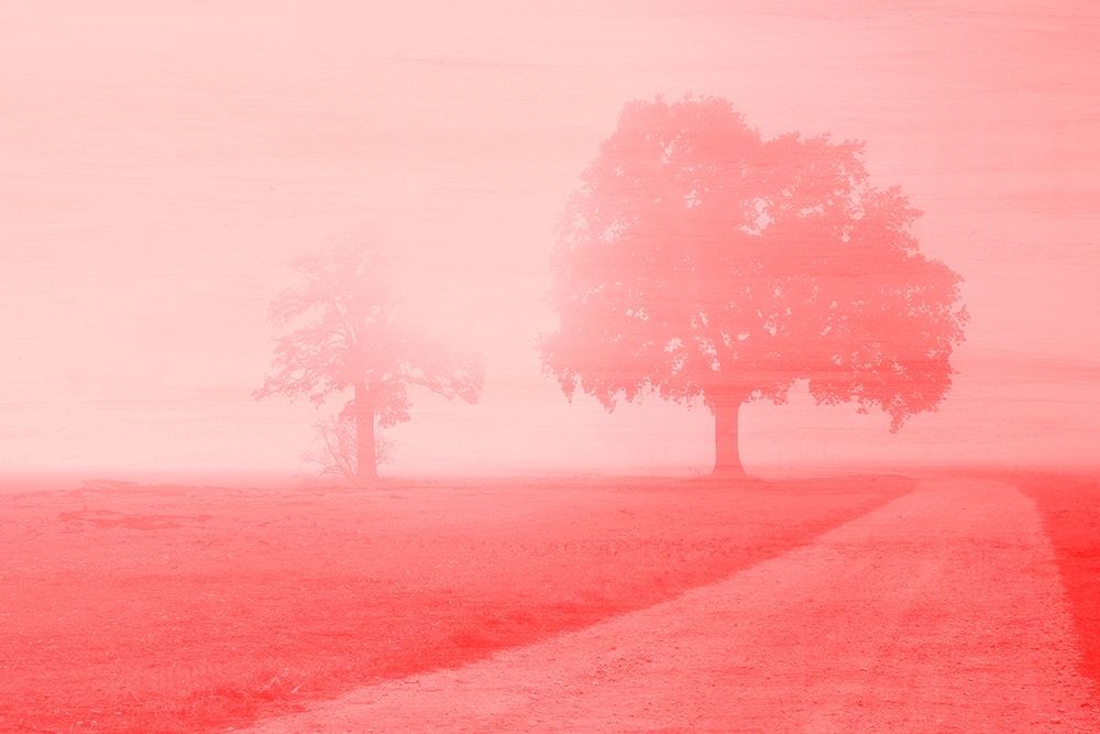 Dawn art print by Kimberly Allen for $57.95 CAD
