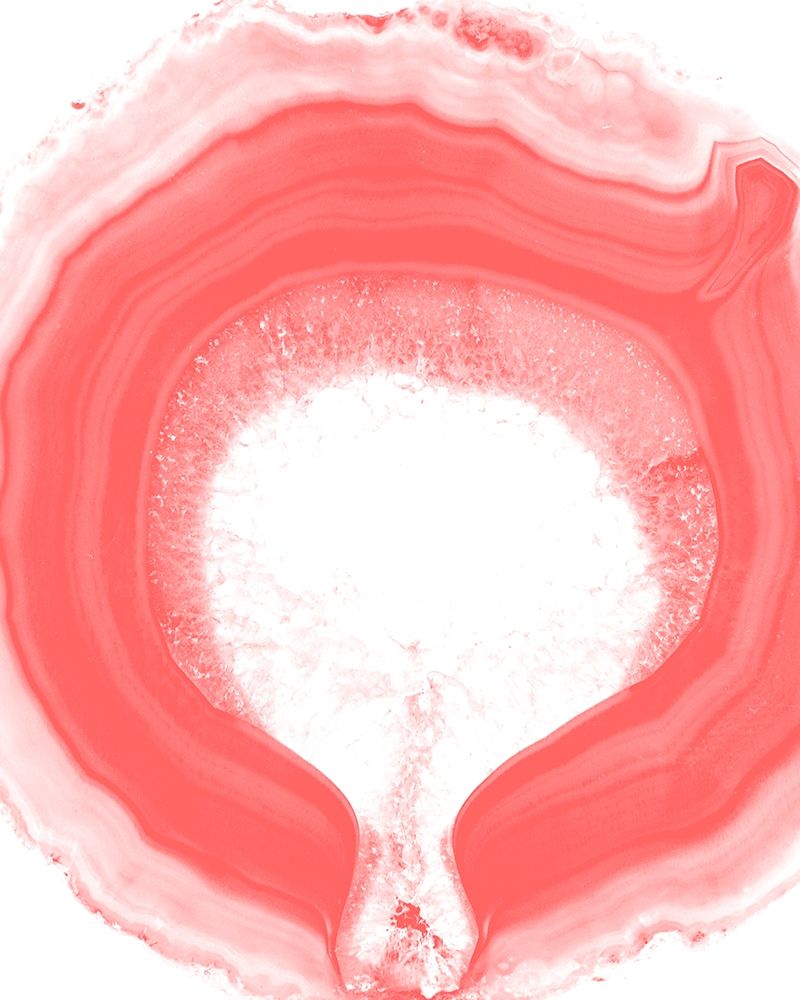 Agate Coral 1 art print by Kimberly Allen for $57.95 CAD