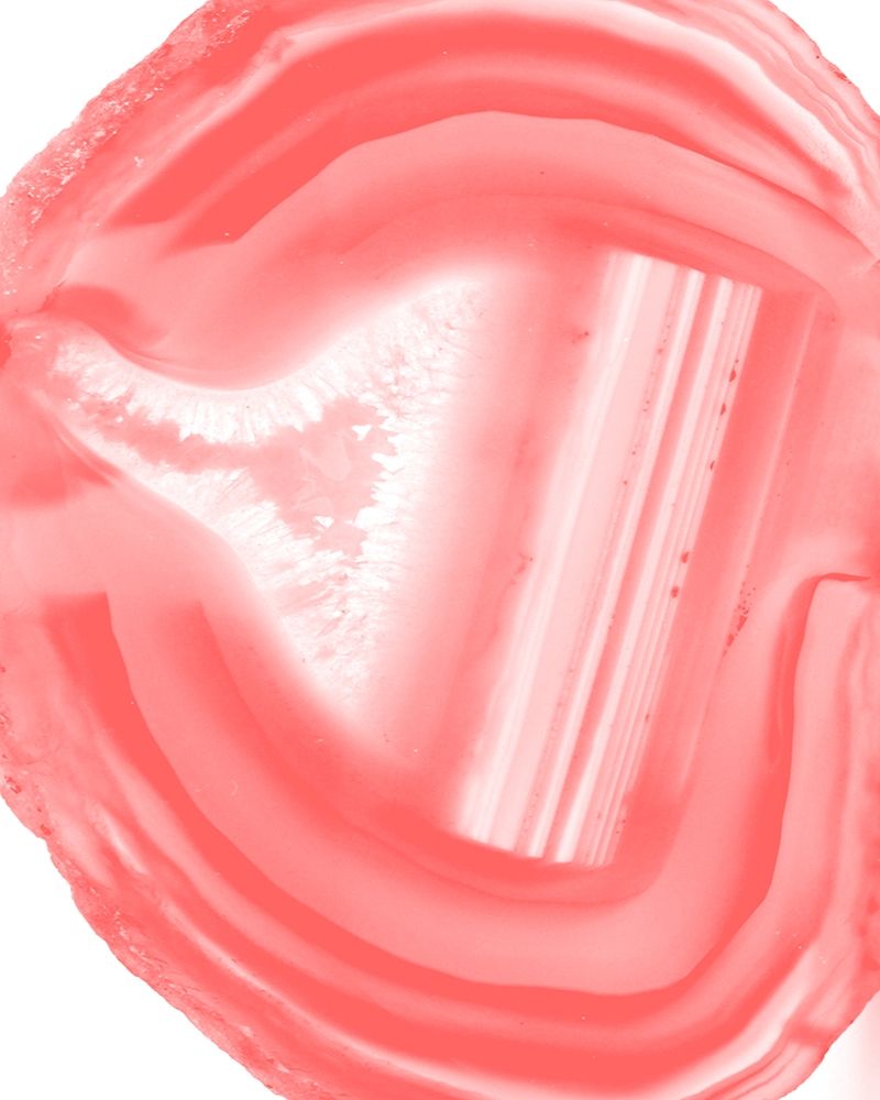 Agate Coral 2 art print by Kimberly Allen for $57.95 CAD