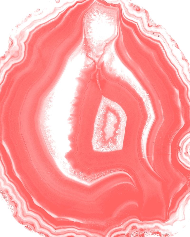Agate Coral 3 art print by Kimberly Allen for $57.95 CAD