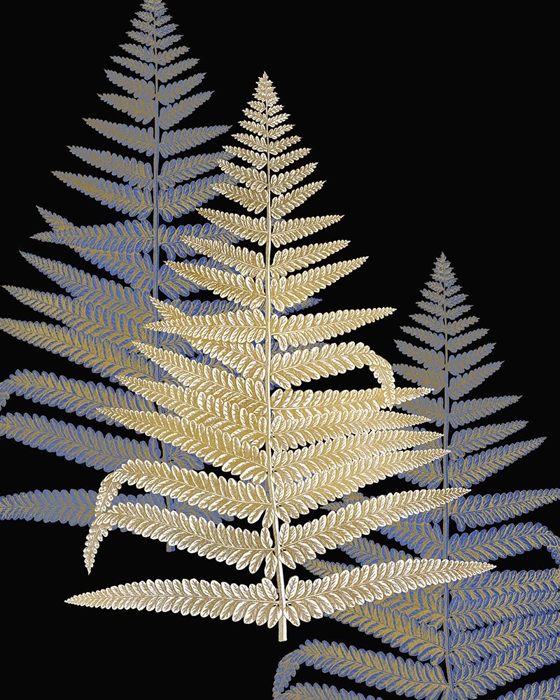 Gilded Fern 2 art print by Kimberly Allen for $57.95 CAD