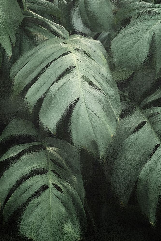 Greenery 1 art print by Kimberly Allen for $57.95 CAD
