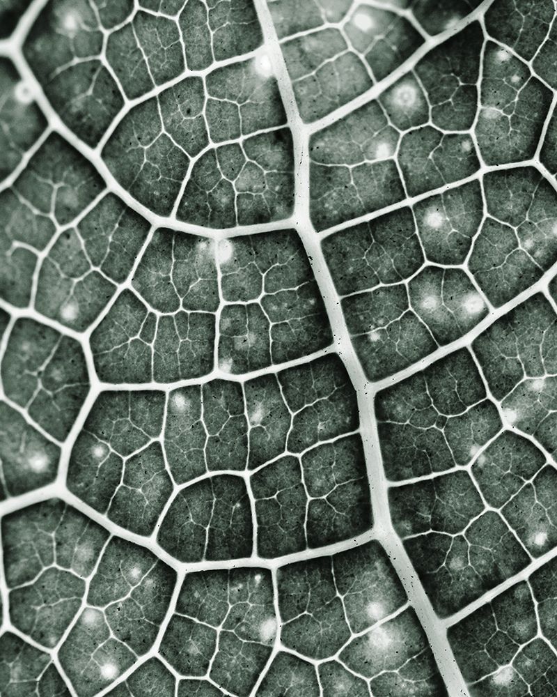 Eco 1 art print by Kimberly Allen for $57.95 CAD