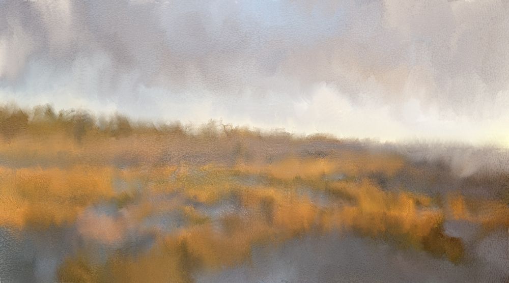 Across The Marsh art print by Kimberly Allen for $57.95 CAD