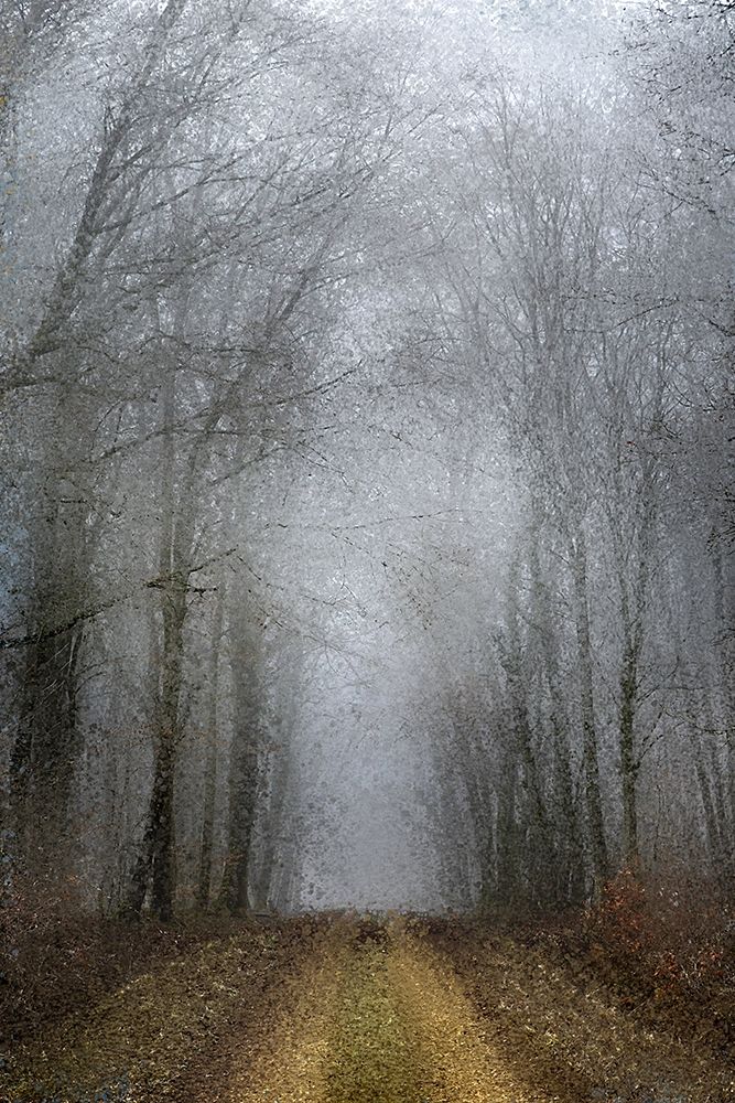 Road of Mysteries art print by Kimberly Allen for $57.95 CAD