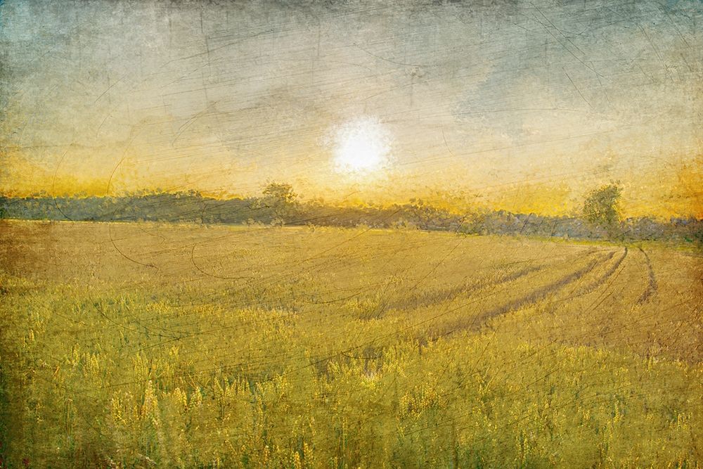 Already to Harvest art print by Kimberly Allen for $57.95 CAD