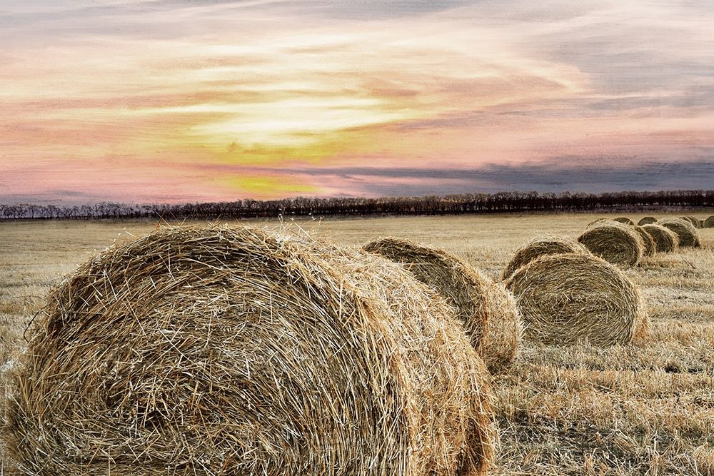 Farmers Harvest art print by Kimberly Allen for $57.95 CAD