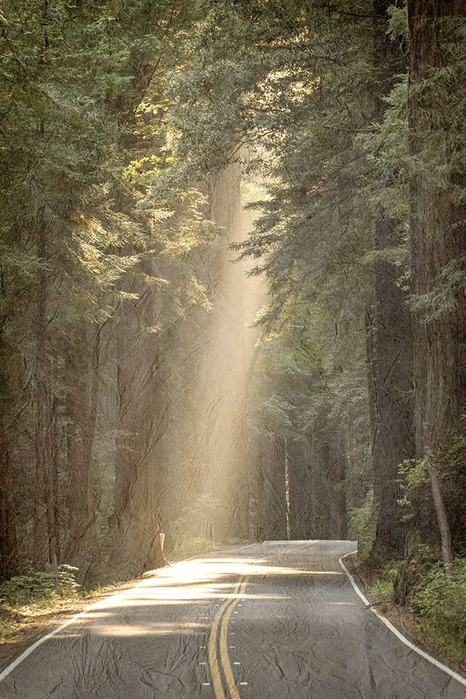 Lets get Lost Road art print by Kimberly Allen for $57.95 CAD