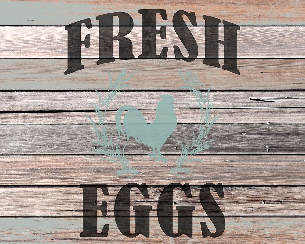 Farm Fresh Eggs art print by Kimberly Allen for $57.95 CAD