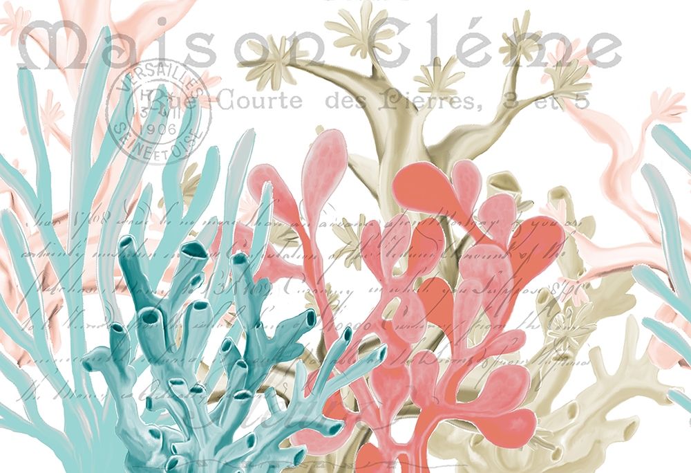 Coral Coastal 1 art print by Kimberly Allen for $57.95 CAD