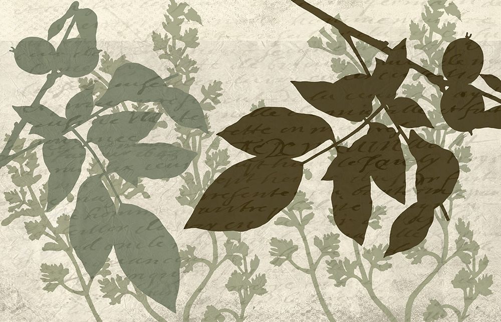 Sage 3 art print by Kimberly Allen for $57.95 CAD