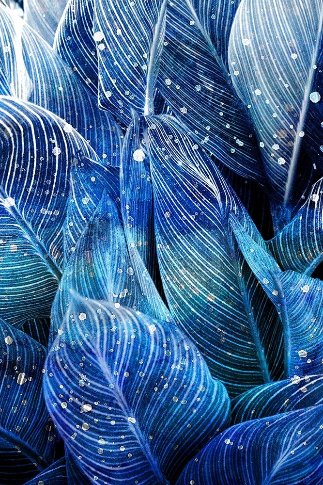 Midnight Palm Leaves 1 art print by Kimberly Allen for $57.95 CAD