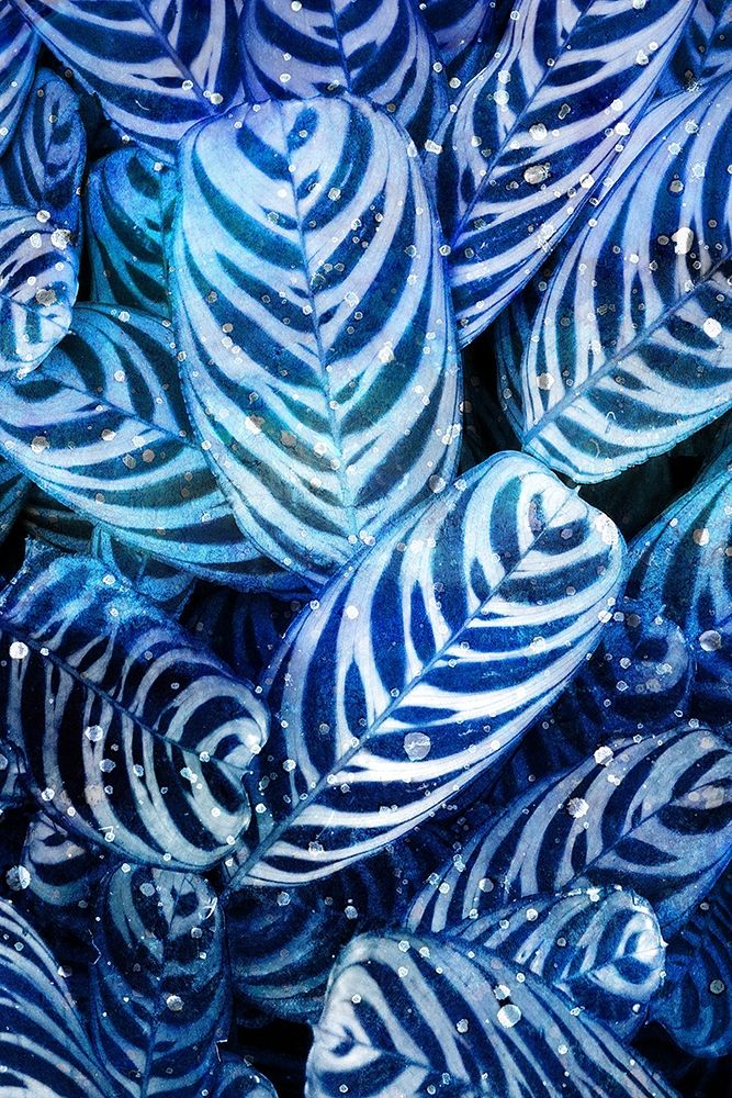 Midnight Palm Leaves 2 art print by Kimberly Allen for $57.95 CAD