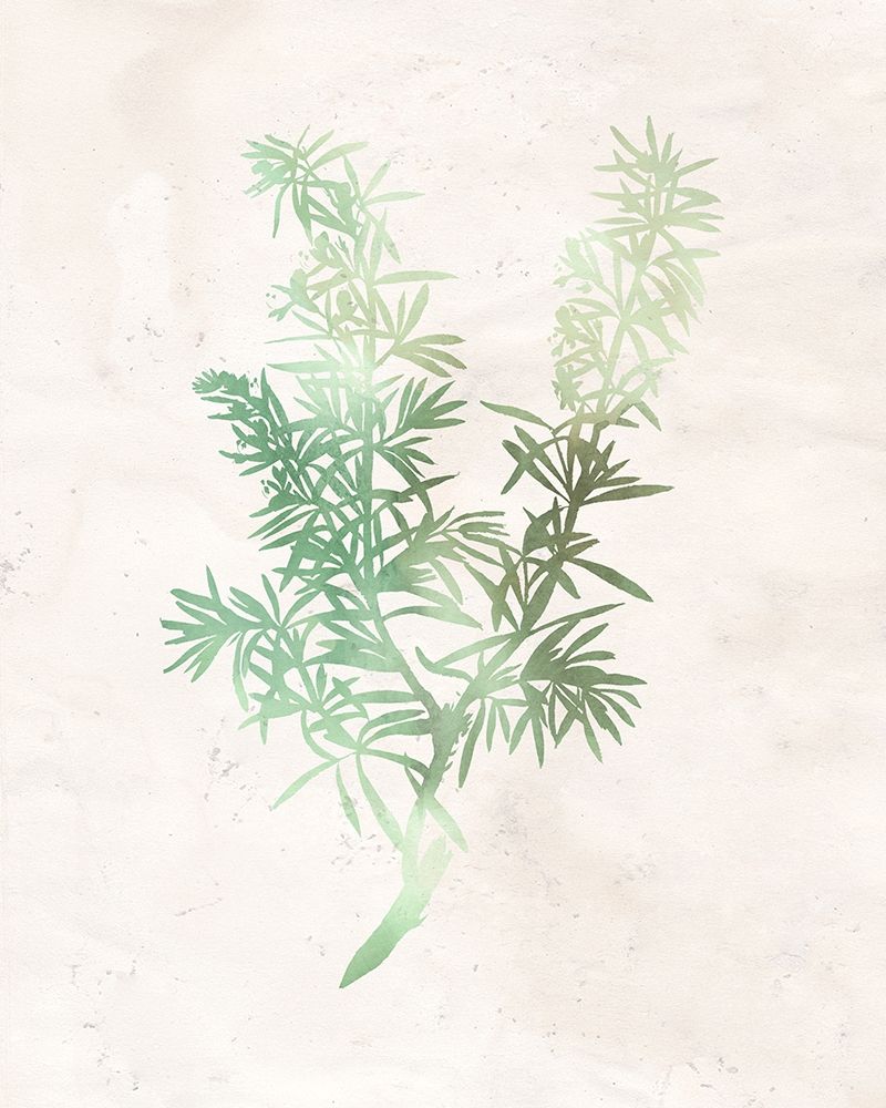 Watercolor Herb 1 art print by Kimberly Allen for $57.95 CAD