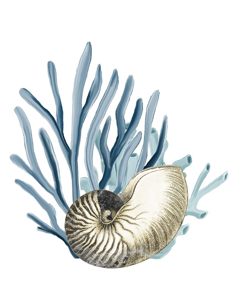 Coastal Coral 2 art print by Kimberly Allen for $57.95 CAD