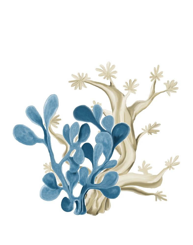 Coastal Coral 3 art print by Kimberly Allen for $57.95 CAD