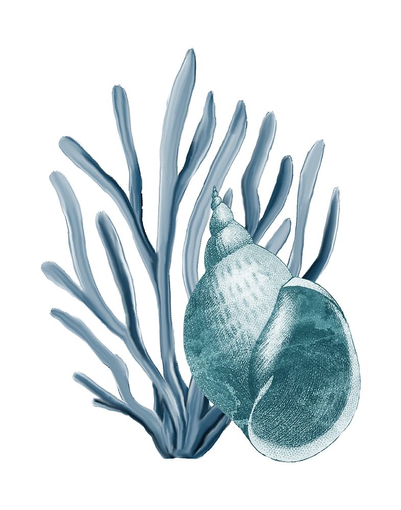 Coastal Coral 4 art print by Kimberly Allen for $57.95 CAD