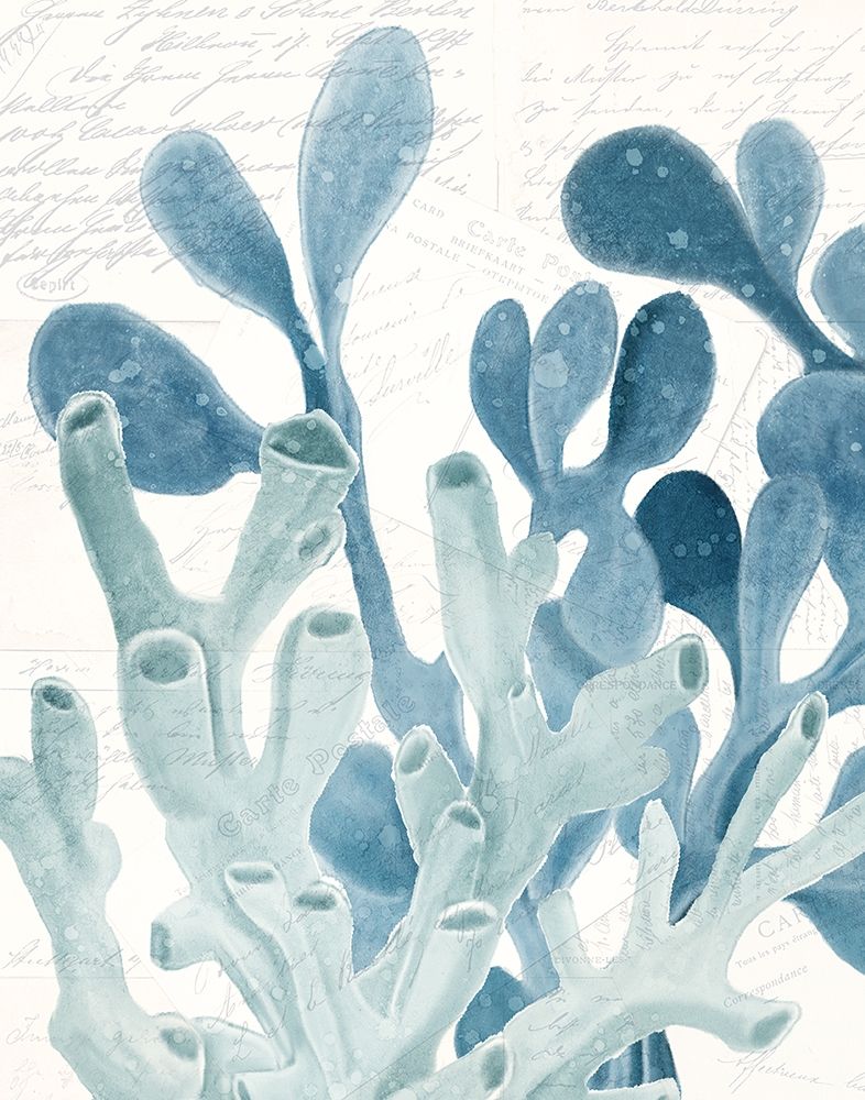 Coral Square 2 art print by Kimberly Allen for $57.95 CAD