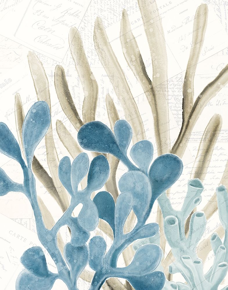 Coral Square 3 art print by Kimberly Allen for $57.95 CAD