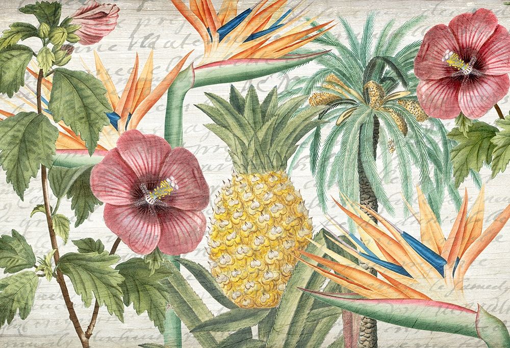 Tropic Flower art print by Kimberly Allen for $57.95 CAD