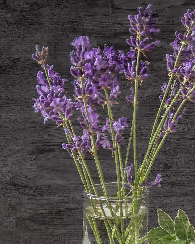 Lavender Jar 2 art print by Kimberly Allen for $57.95 CAD