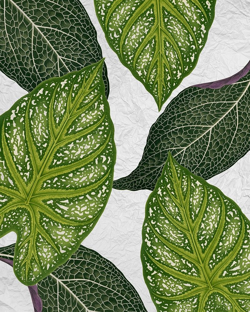 My Greens 1 art print by Kimberly Allen for $57.95 CAD