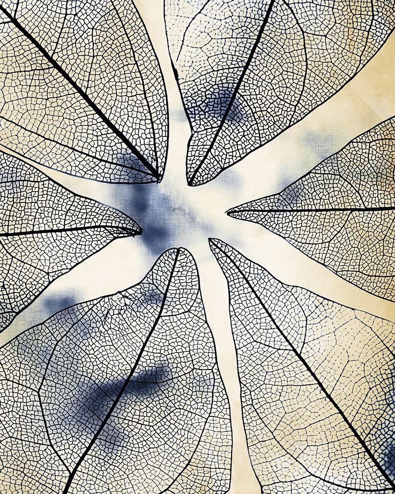 Transparent Leaves 1 art print by Kimberly Allen for $57.95 CAD