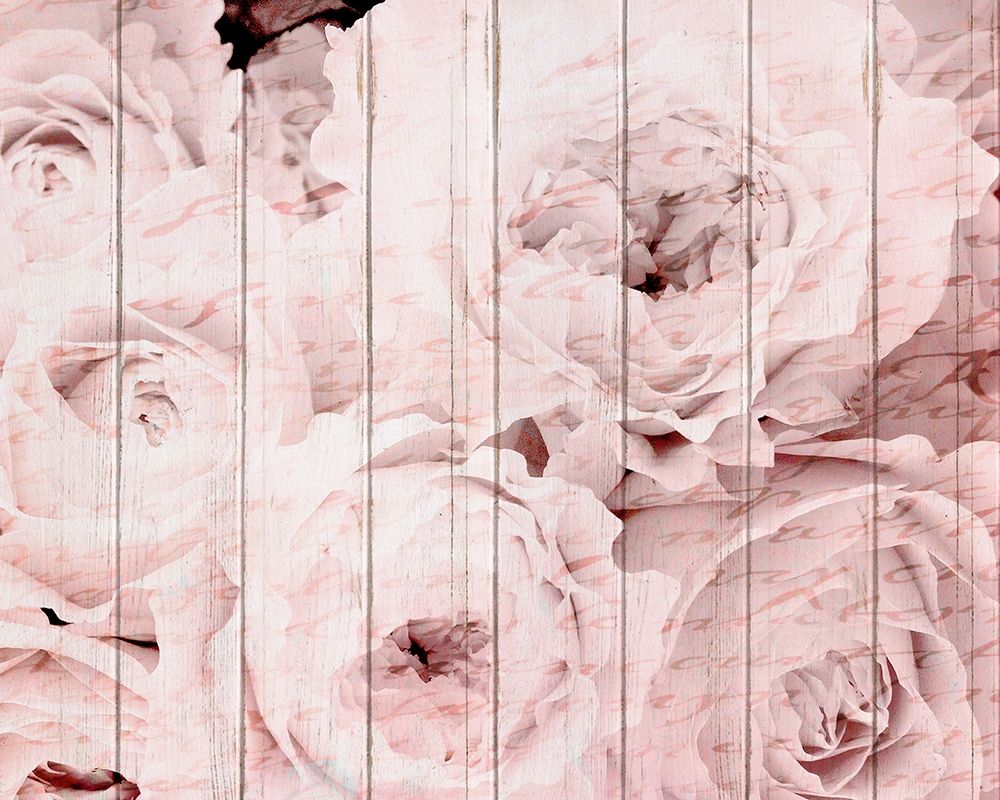 In The Roses 1 art print by Kimberly Allen for $57.95 CAD
