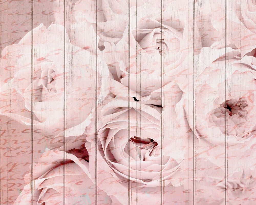 In The Roses 2 art print by Kimberly Allen for $57.95 CAD