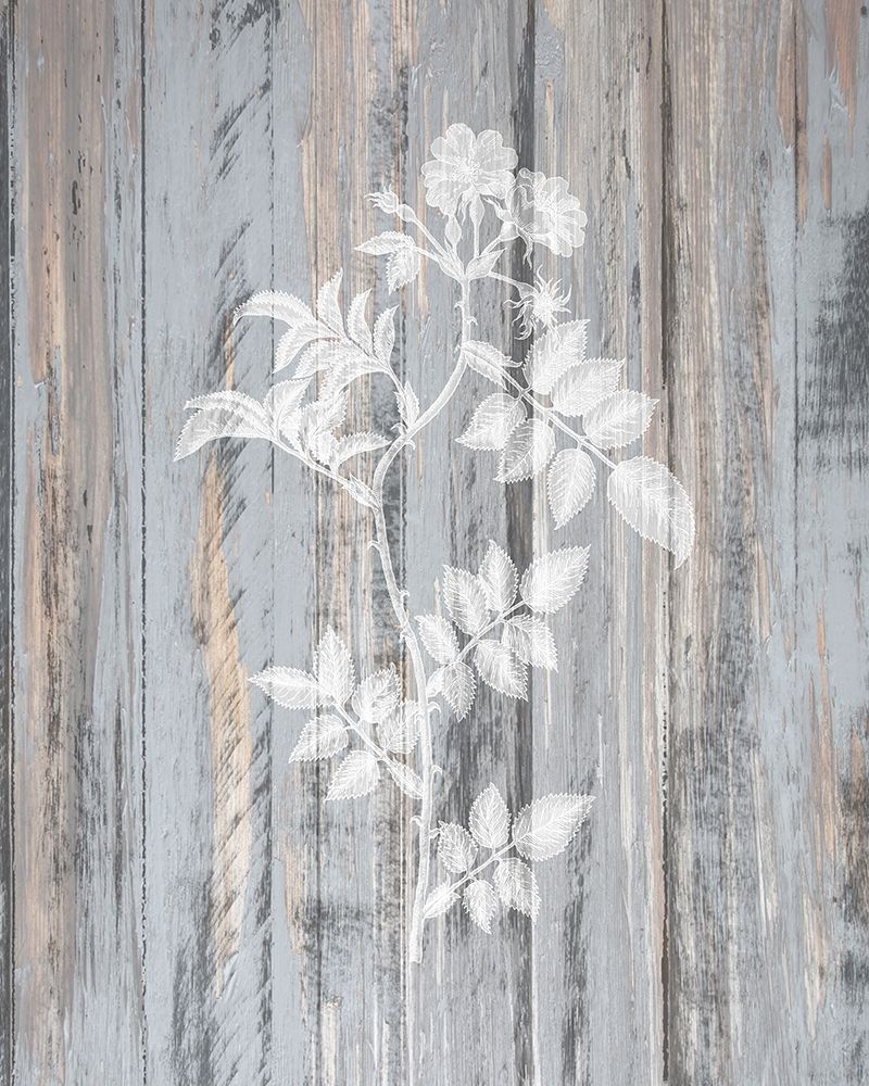 Botanical Wood 1 art print by Kimberly Allen for $57.95 CAD
