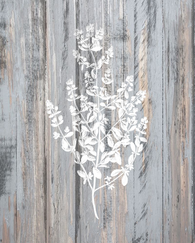 Botanical Wood 2 art print by Kimberly Allen for $57.95 CAD
