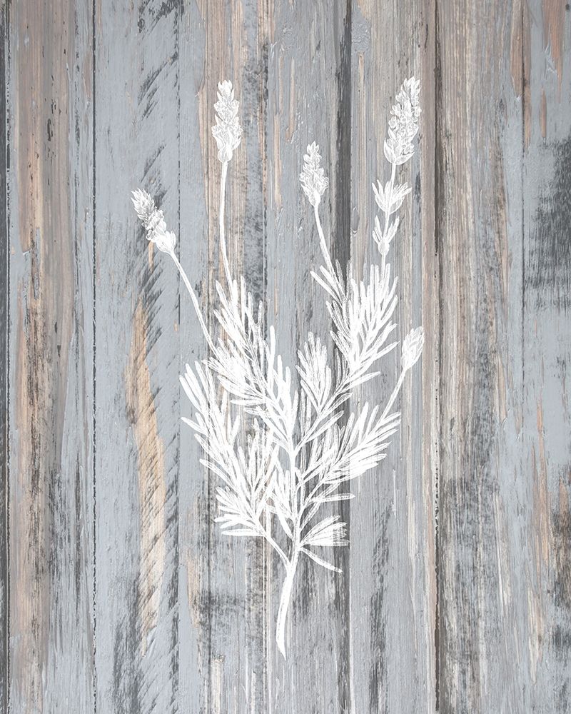Botanical Wood 3 art print by Kimberly Allen for $57.95 CAD